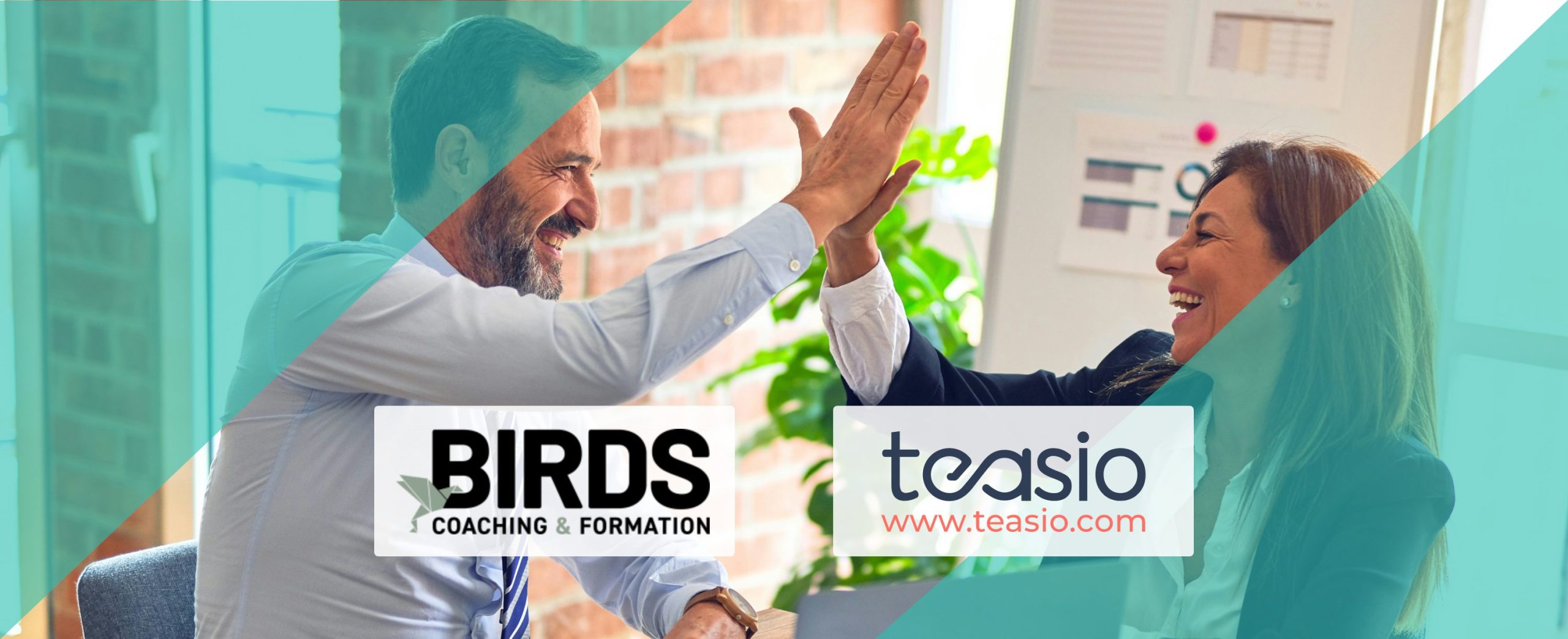 Transformation digitale ressources humaines : BIRDS Coaching allie relation humaine et gestion efficace